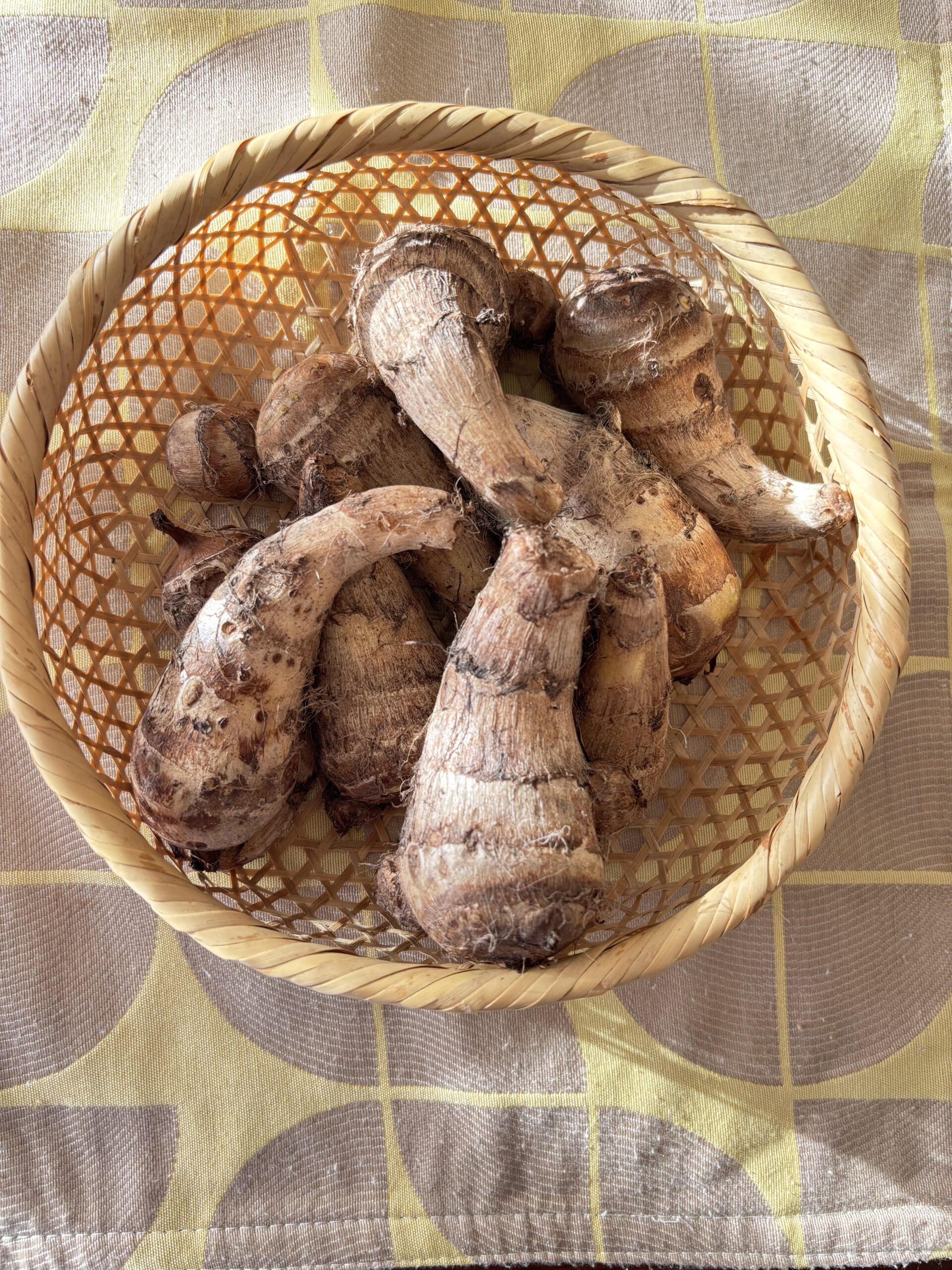 11月のレッスン